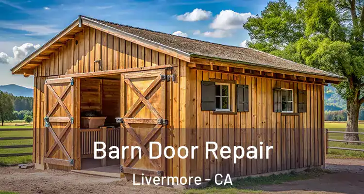  Barn Door Repair Livermore - CA