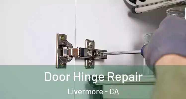  Door Hinge Repair Livermore - CA