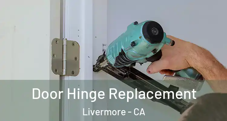  Door Hinge Replacement Livermore - CA