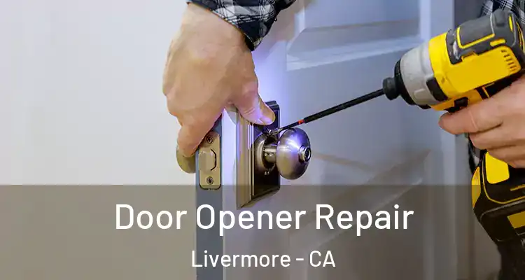  Door Opener Repair Livermore - CA