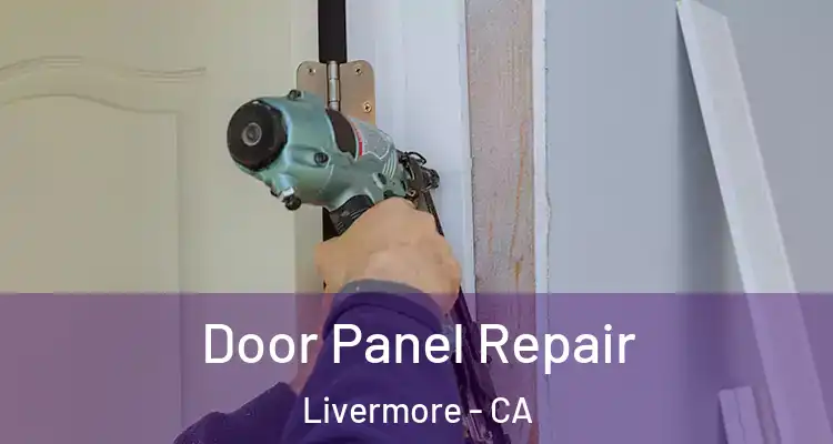  Door Panel Repair Livermore - CA