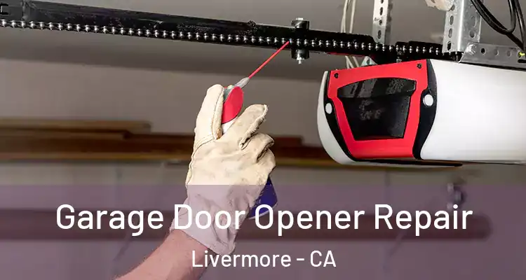  Garage Door Opener Repair Livermore - CA