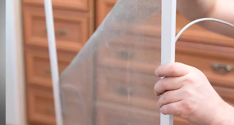 Privacy Mesh Screen Door Installation in Livermore, CA