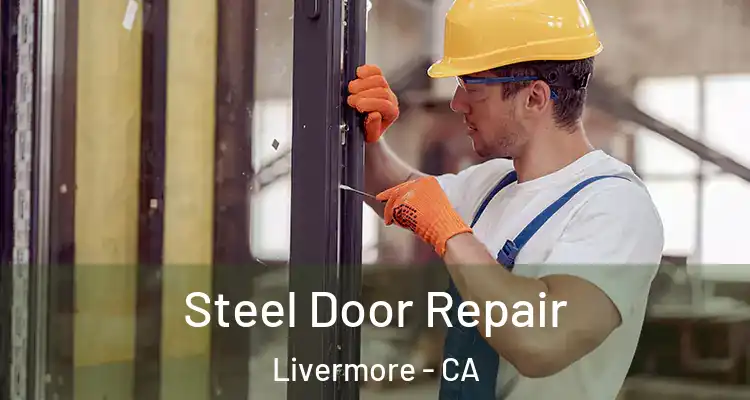  Steel Door Repair Livermore - CA
